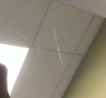 7747189
